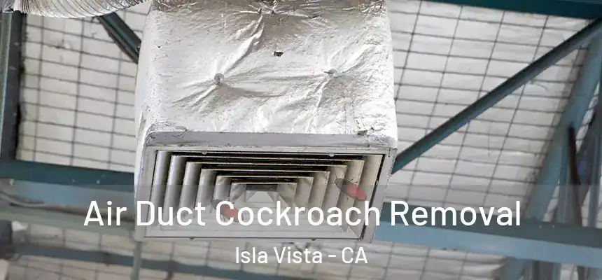 Air Duct Cockroach Removal Isla Vista - CA
