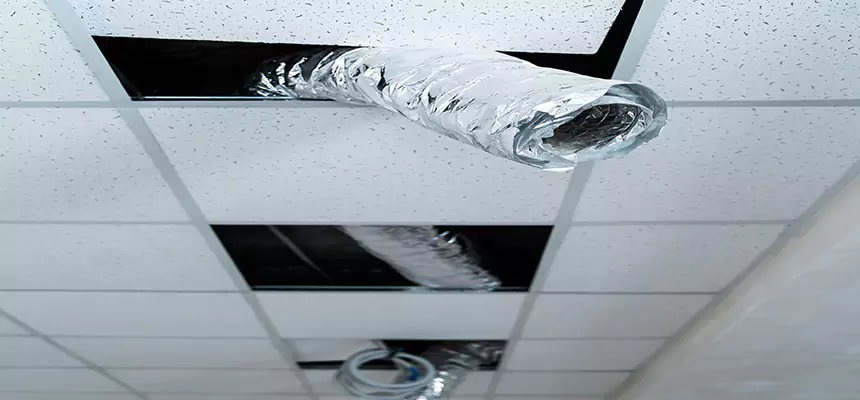 Our Air Duct Pet Hair Removal Services in Isla Vista, CA