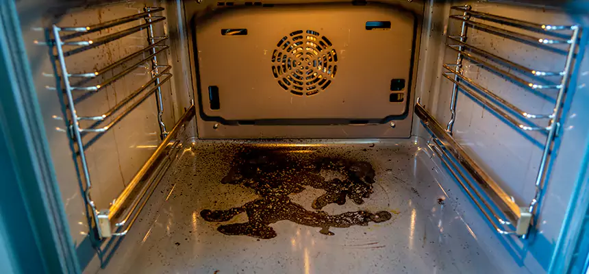 Our Dryer Vent Mold Cleaning Services in Isla Vista, CA