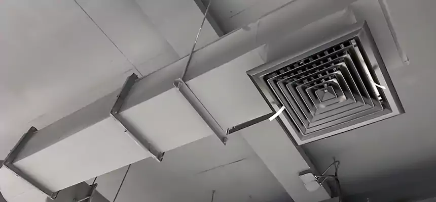 Our Pest Removal From Ducts Services in Isla Vista, CA