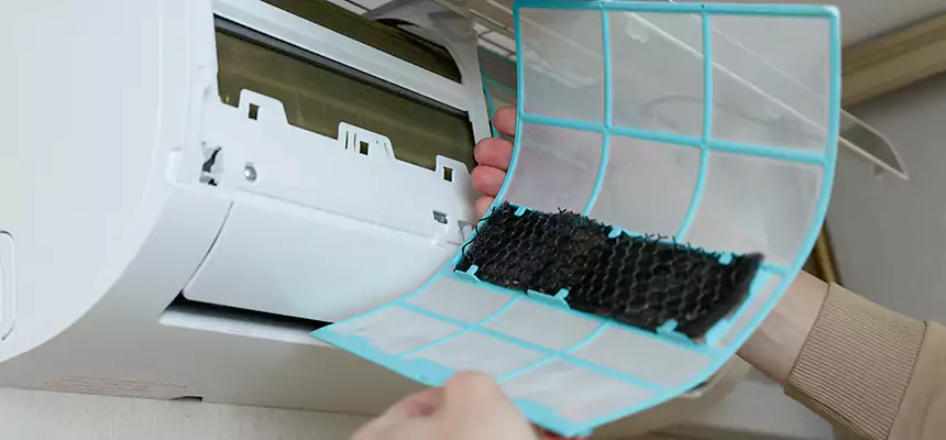 Gentle Ductwork Odor-Control Pet Dander Duct Cleaning in Isla Vista, CA