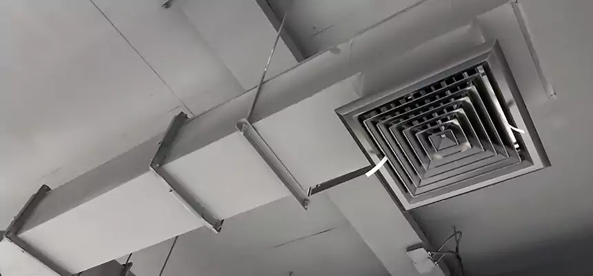 Our Rodent Droppings In Vents Services in Isla Vista, CA