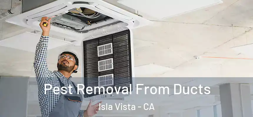 Pest Removal From Ducts Isla Vista - CA