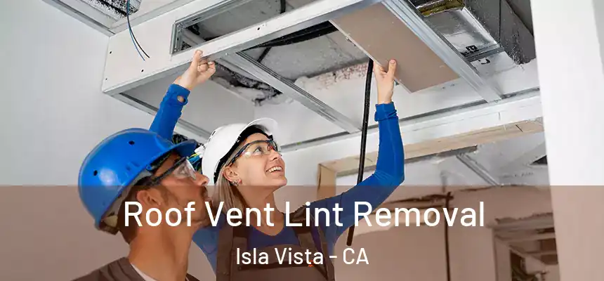  Roof Vent Lint Removal Isla Vista - CA