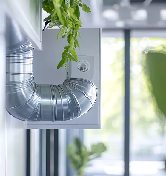 Professional Eco-Friendly Duct Cleaning Services in Isla Vista, CA