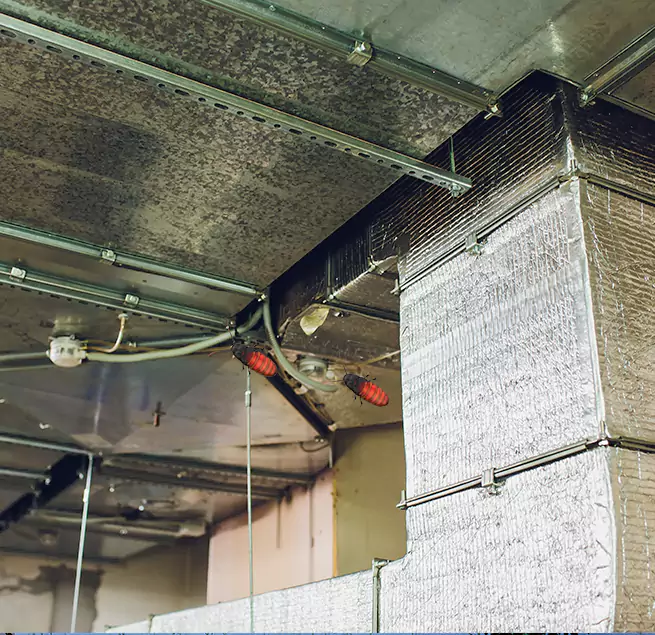 Why Homeowners & Businesses Trust Us in Isla Vista, CA?