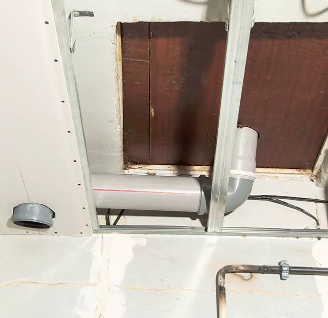 Why Homeowners & Businesses Trust Us in Isla Vista, CA?