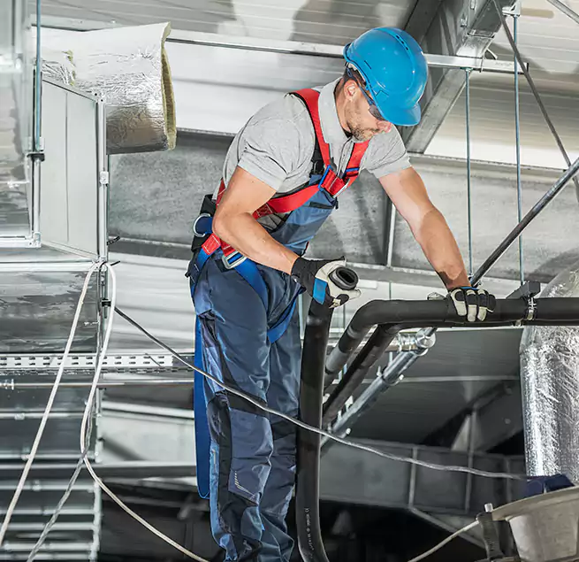 Why Homeowners & Businesses Trust Us in Isla Vista, CA?