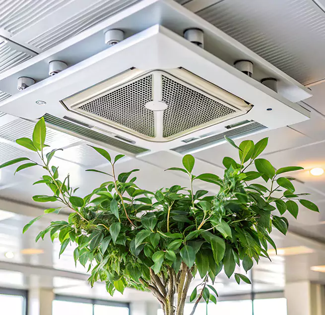 Why Homeowners & Businesses Trust Us in Isla Vista, CA?