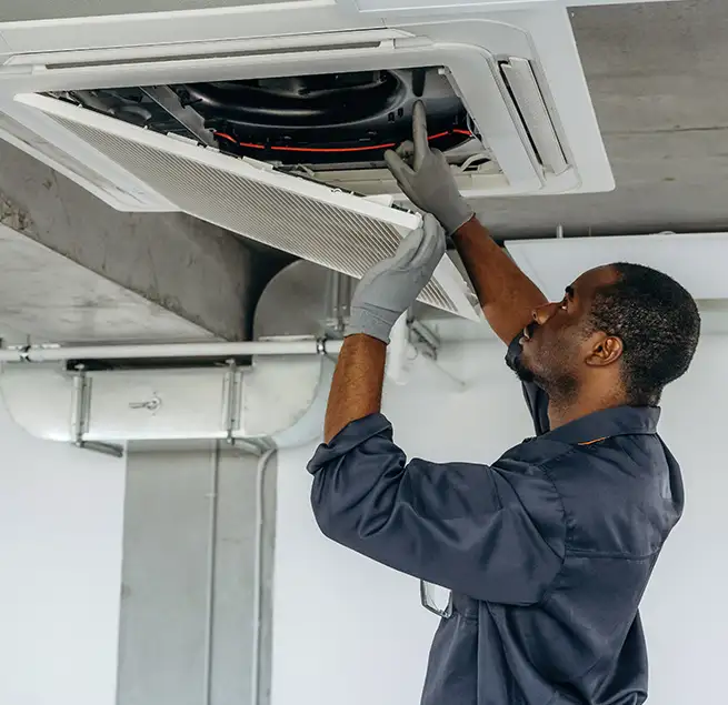 Why Homeowners & Businesses Trust Us in Isla Vista, CA?