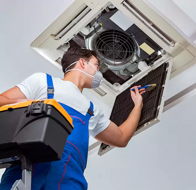 Why Homeowners & Businesses Trust Us in Isla Vista, CA?