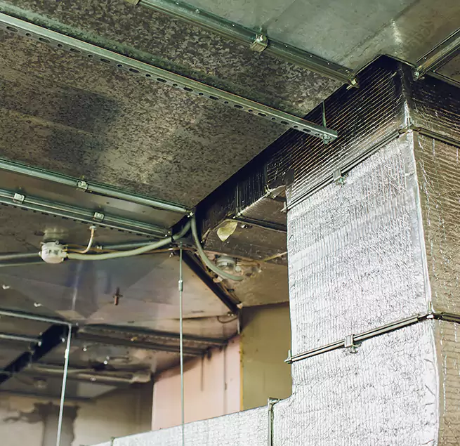 Why Homeowners & Businesses Trust Us in Isla Vista, CA?