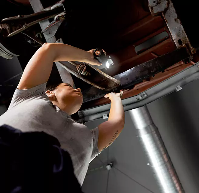 Why Homeowners & Businesses Trust Us Isla Vista, CA