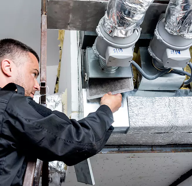 Why Homeowners & Businesses Trust Us in Isla Vista, CA?