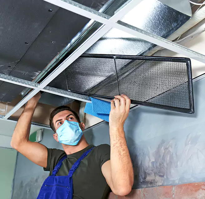 Why Homeowners Businesses Trust Us in Isla Vista, CA?